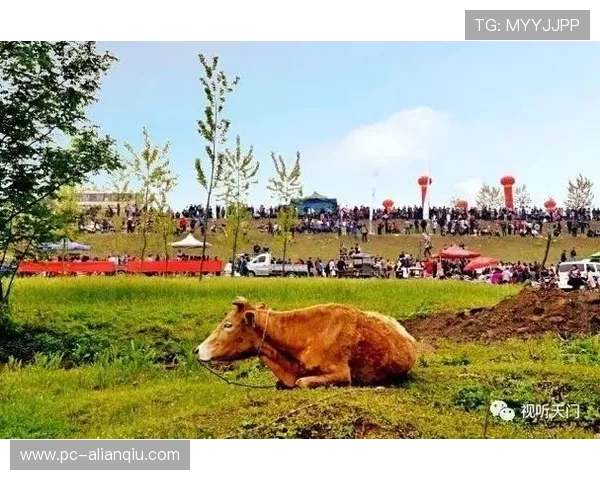 多宝真人来自哪个省份,他的家乡信息全方位披露